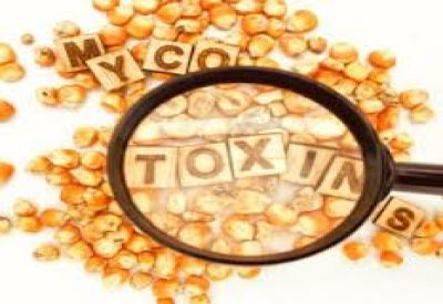 İŞ YERİNDE YAYGIN OLARAK GÖRÜLEN TKSİNLERE KARŞI KORUNMAK